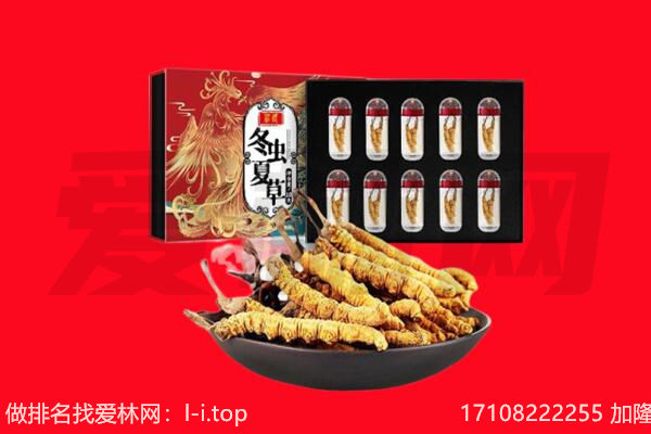 韶山市回收虫草.jpg
